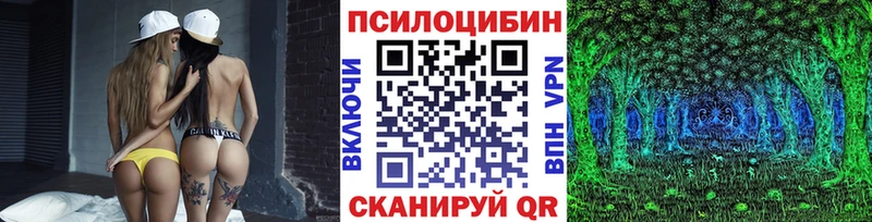 что такое   Артёмовск  Псилоцибиновые грибы MAGIC MUSHROOMS 