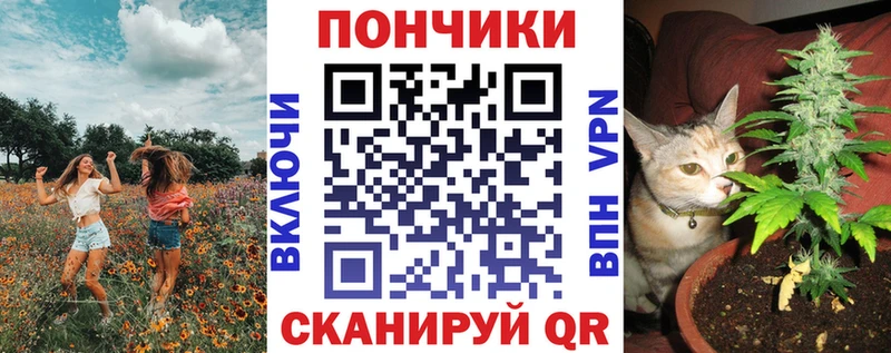 цены наркотик  мега маркетплейс  Шишки марихуана планчик  Артёмовск 